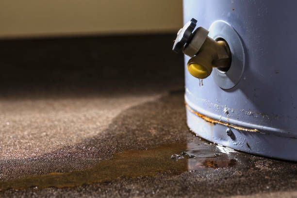 Professional Water damage restoration in WA