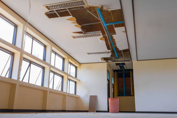  Kayak Point, WA Water damage restoration Pros