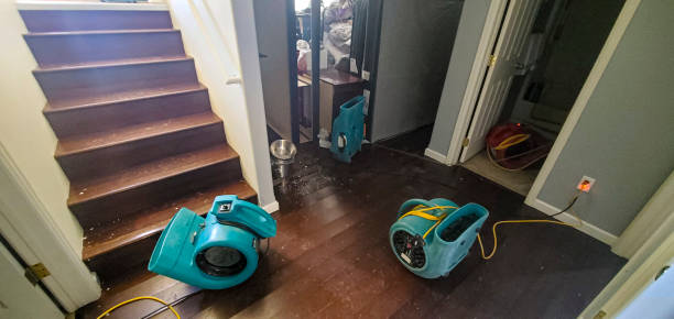 Best Flood restoration services  in Kayak Point, WA
