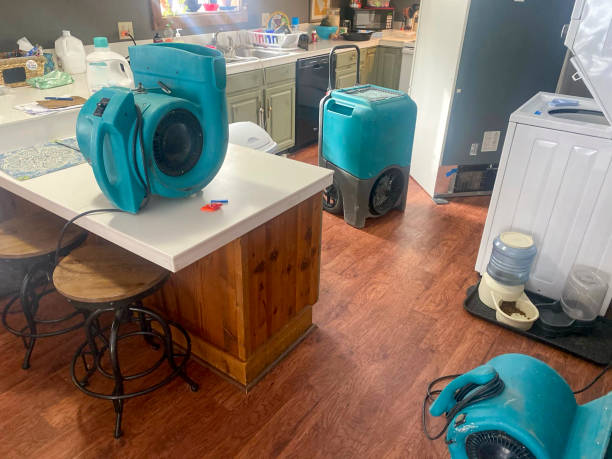 Best Mold removal after water damage  in Kayak Point, WA
