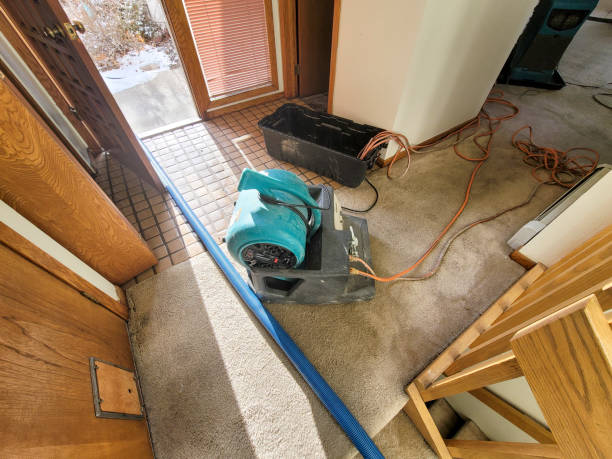  Kayak Point, WA Water damage restoration Pros