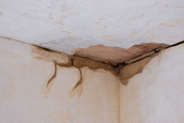 Best Professional water damage repair  in Kayak Point, WA