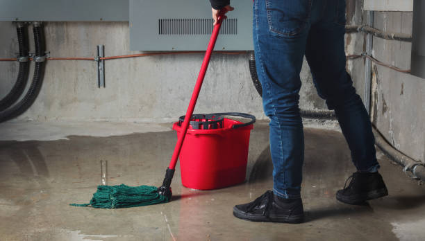 Carpet water damage restoration in WA