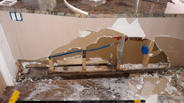 Best Water damage cleanup near me  in Kayak Point, WA