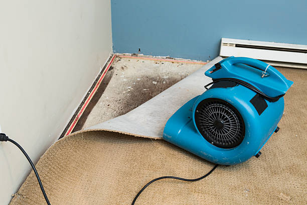 Best Flood damage cleanup  in Kayak Point, WA